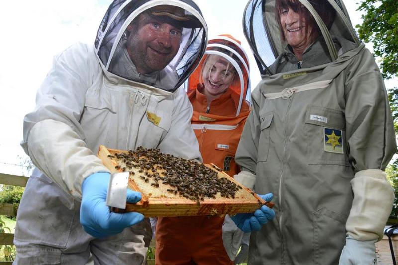 A man in a bee suit shows visitors in bee suits some honey bees