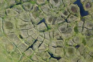 Permafrost: Ice wedges.